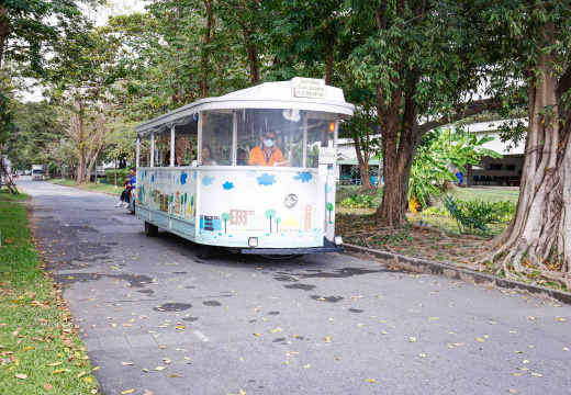  05A4552